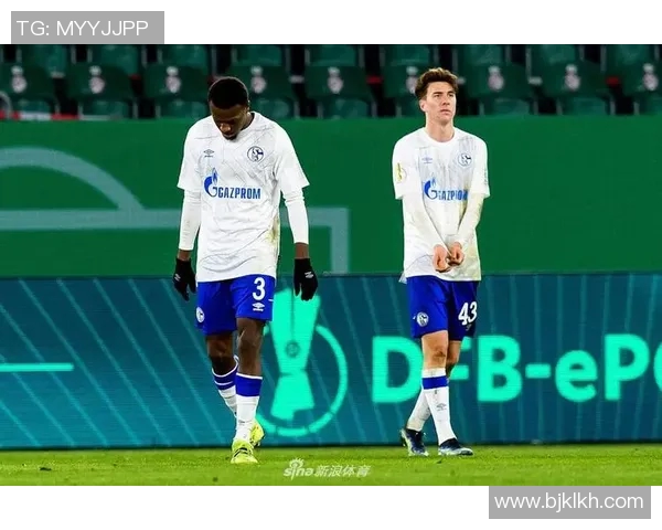 沃尔夫斯堡2-0完胜，沙尔克04难敌对手压力劣势败北